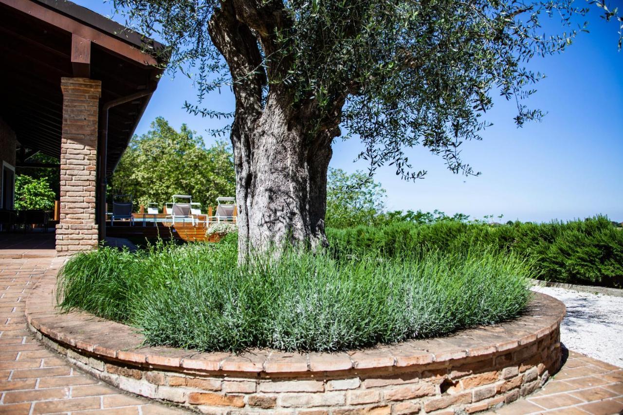 Resort Villa Paola Longiano Экстерьер фото